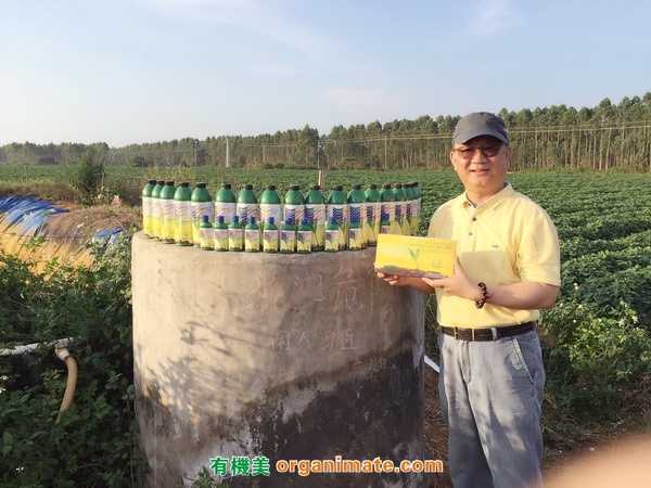 美國亞聯微生物肥Bio1One 等菌劑産品在廣東雷州半島優質番薯基地的廣泛推廣應用