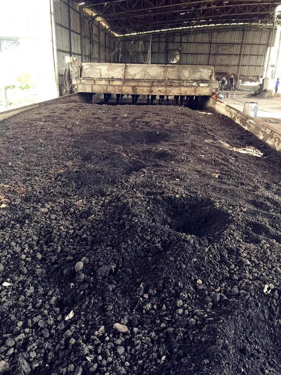 IMG_1074(20210818-165143).JPG IMG_1074(20210818-165143).JPG