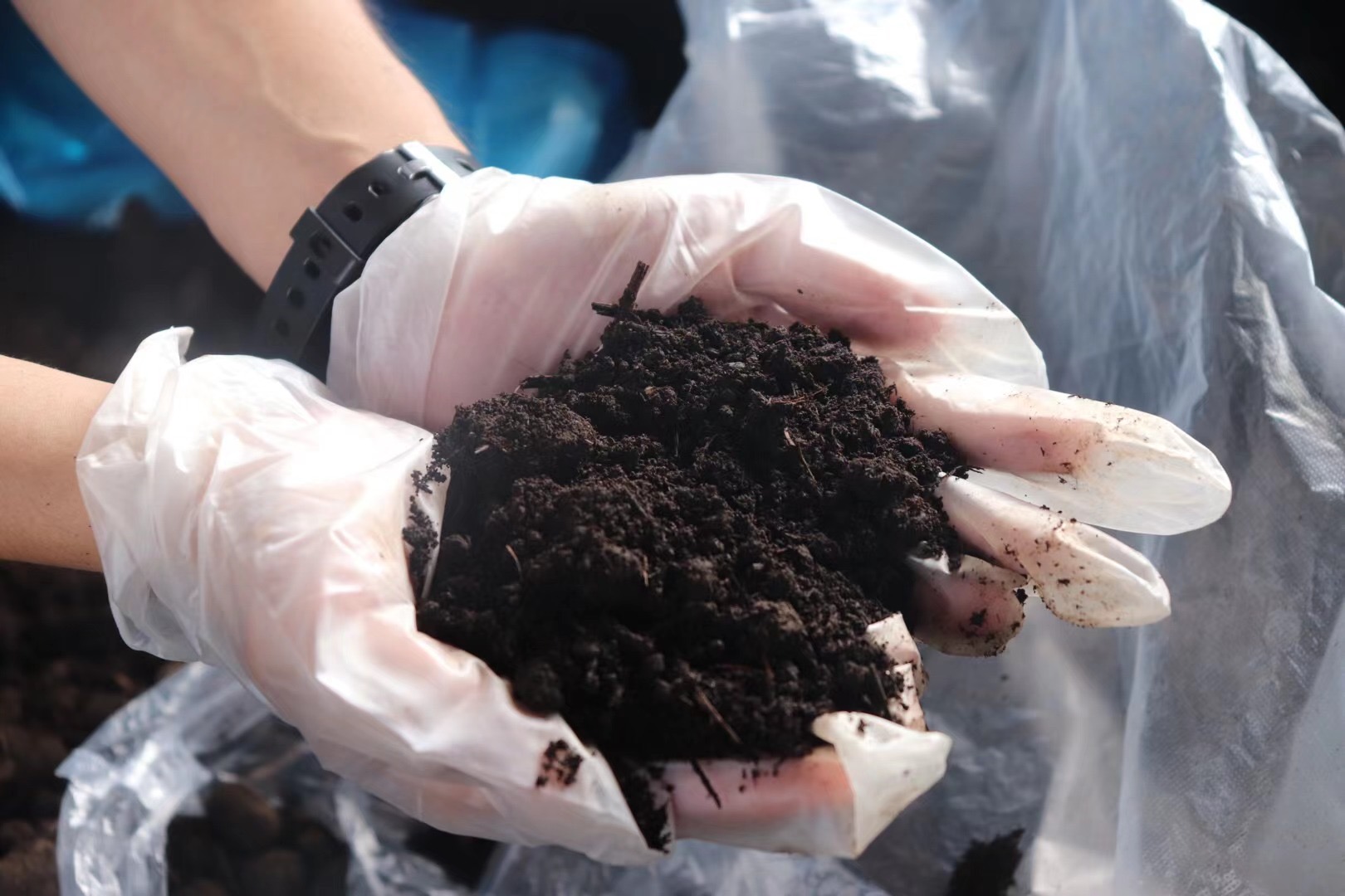 IMG_1076(20210818-165219).JPG IMG_1076(20210818-165219).JPG