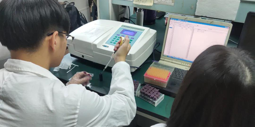 化學成分分析 拷貝.jpg 化學成分分析 拷貝.jpg